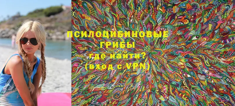 Галлюциногенные грибы Psilocybine cubensis  hydra зеркало  Макушино 